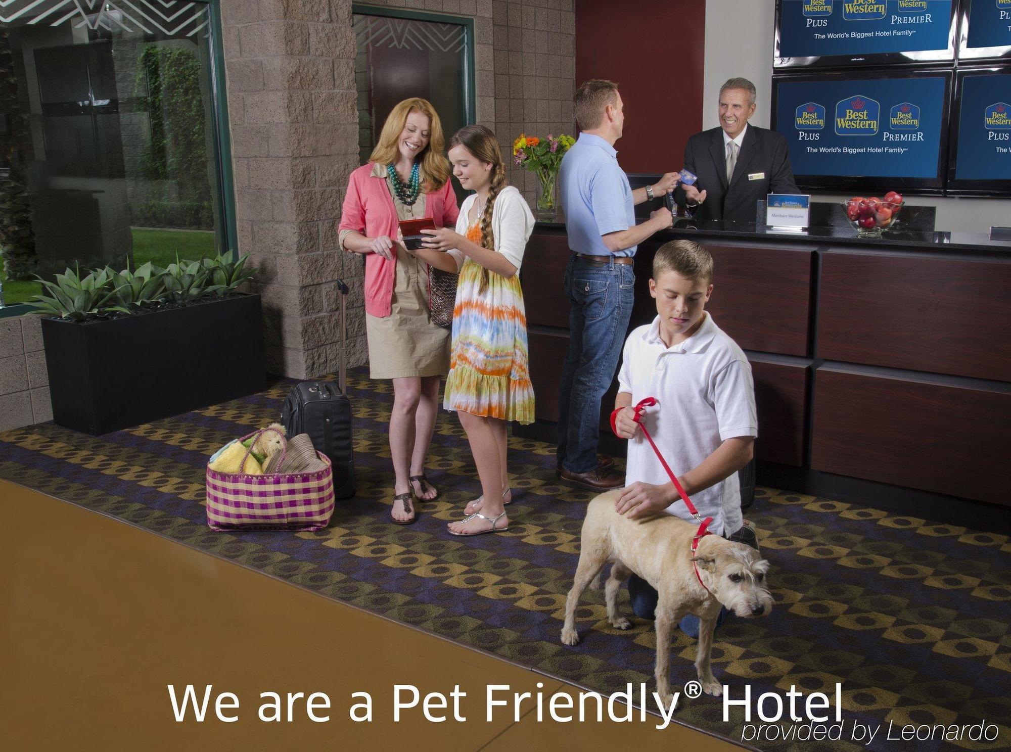 Hotel Western 3*